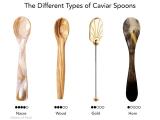 The 5 best caviar spoons — mother of pearl, horn, glass and wood compared by Haute Caviar