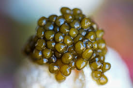 Caviar nutrition facts — complete breakdown of vitamins minerals and macros by Haute Caviar