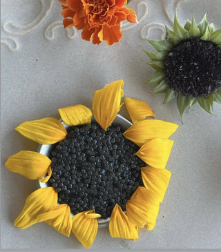 Haute Osetra Caviar Tasting Set with Serving Accessories